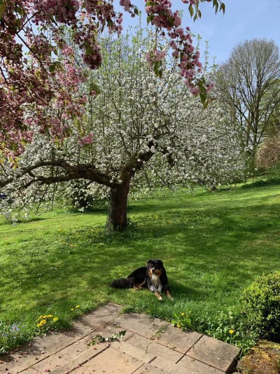 Generationsübergreifendes Wohnen: der Garten