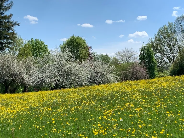 Seniorenwohnen: die umgebende Natur