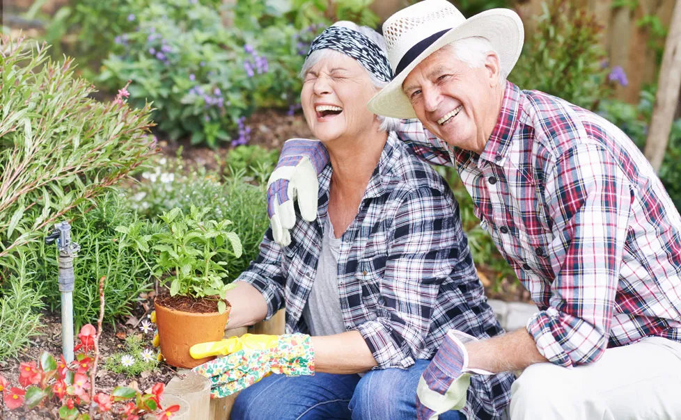 Zwei lachende Menschen bei der Gartenarbeit